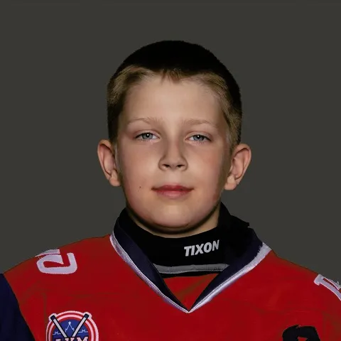Владимир Шумихин