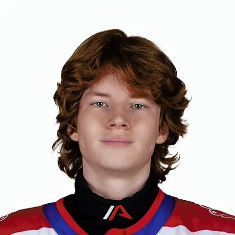 Дмитрий Воробьев