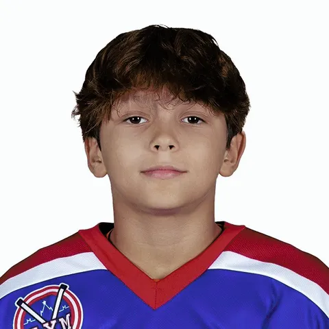 Арсений Аникин