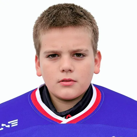Владимир Дмитриев