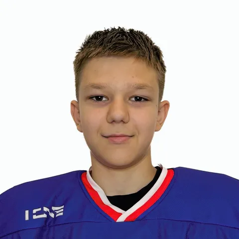 Александр Стиплин