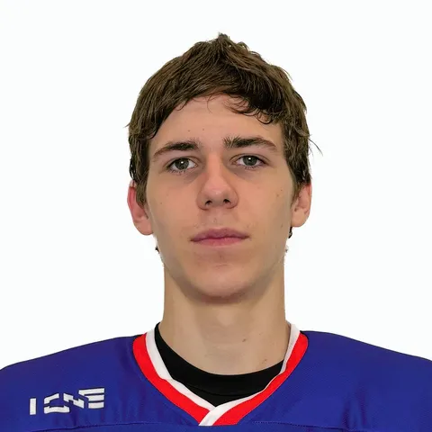 Дмитрий Богатырев