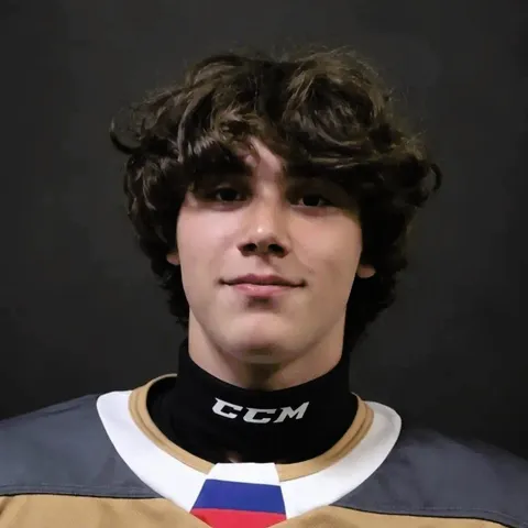 Василий Королев