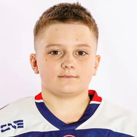 Михаил Горицков