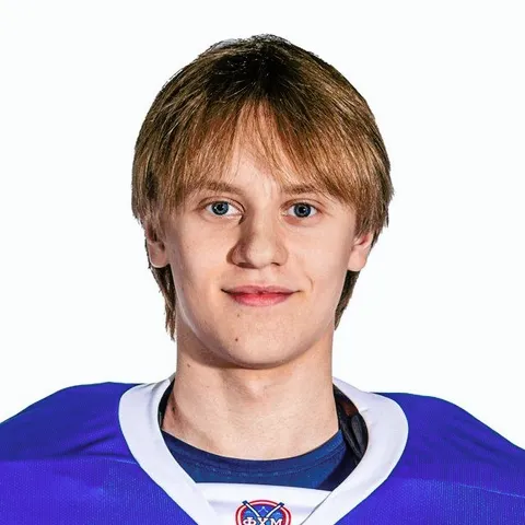 Арсений Булыгин