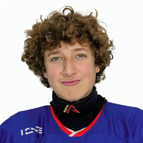 Лев Михлин