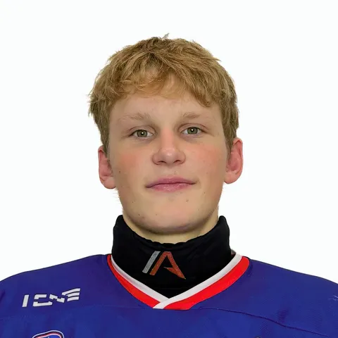 Роман Коровин