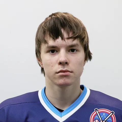 Владислав Медведев