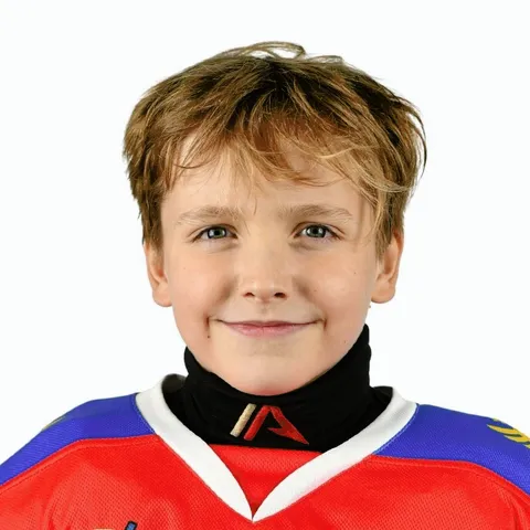 Николай Снегирев