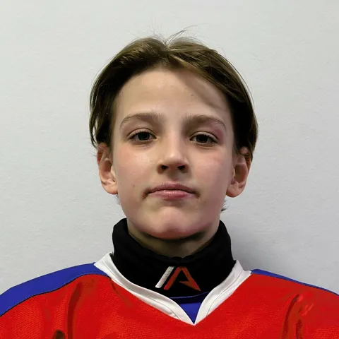 Дмитрий Шестаков