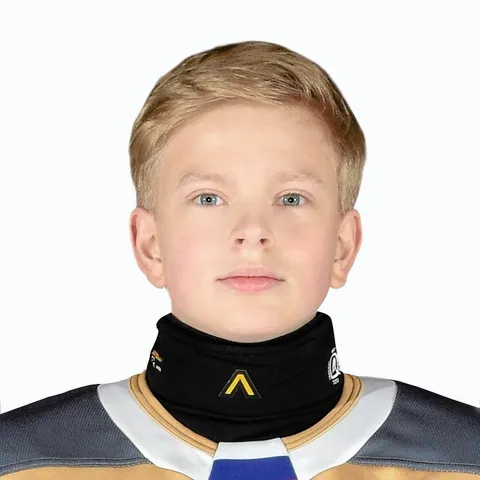 Евгений Ланкин