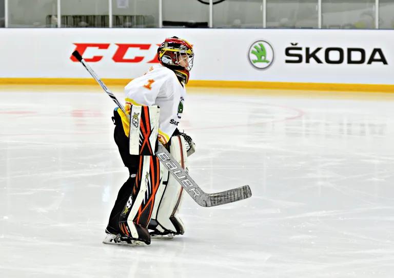 Фото 32: Турнир ŠKODA Junior Ice Hockey Cup 2017