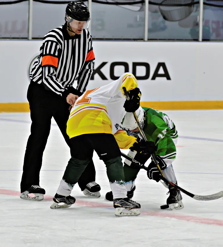 Фото 45: Турнир ŠKODA Junior Ice Hockey Cup 2017