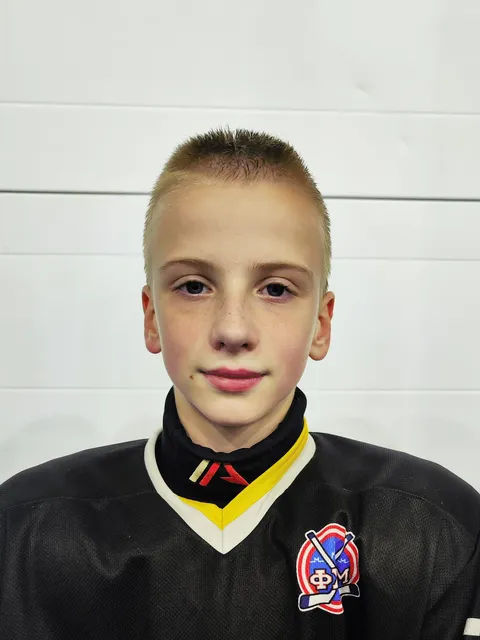 Алексей Воробьев