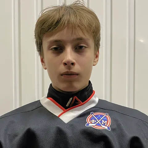 Яромир Янкин