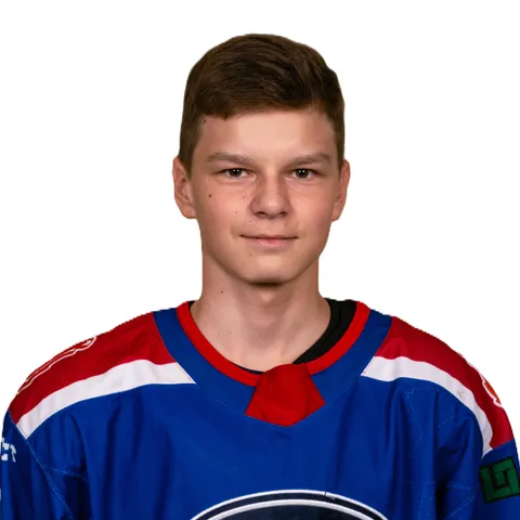 Николай Матюшин