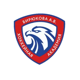 Академия Бирюкова 2015