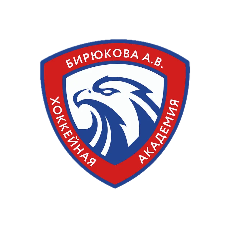 Хоккейная академия Бирюкова А. В.