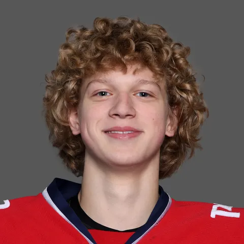 Лев Бубнов
