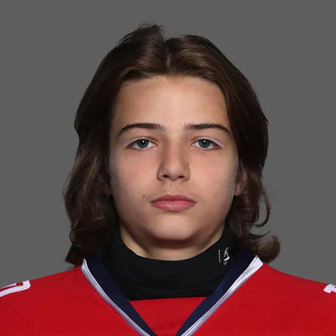 Александр Булгаков