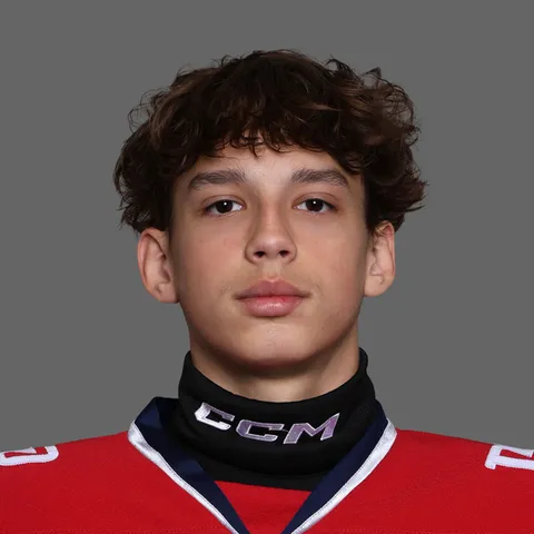 Арсений Шешков