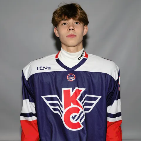 Дмитрий Илюшин
