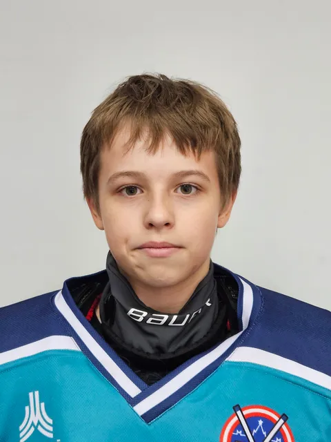 Александр Гнедин