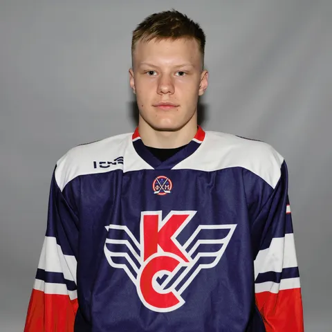 Арсений Бабинцев