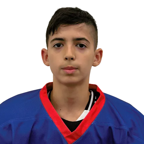 Дмитрий Кулкуш