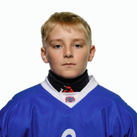 Дмитрий Минеев