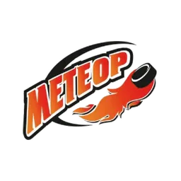 Метеор 2013