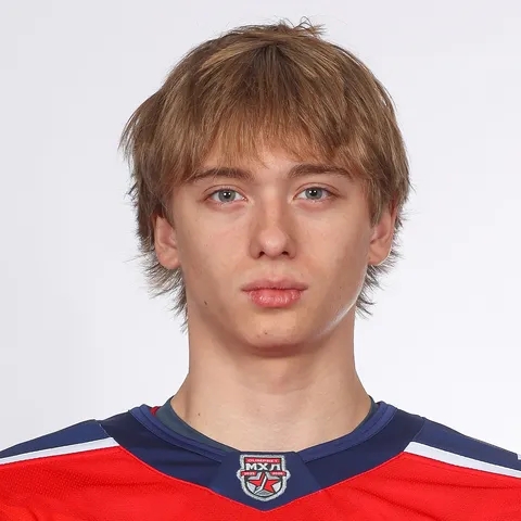 Владимир Костин