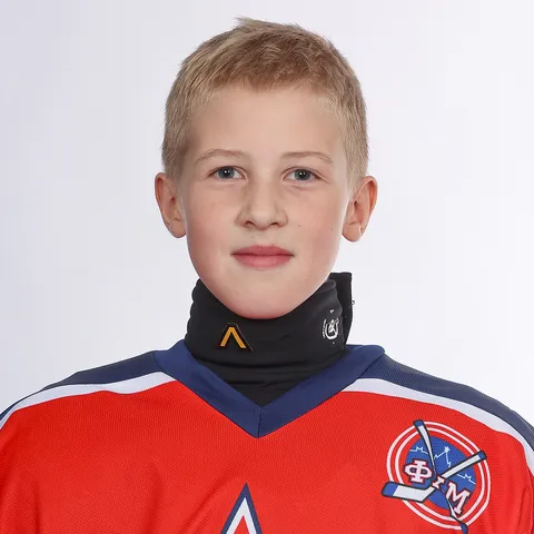 Дмитрий Воробьев