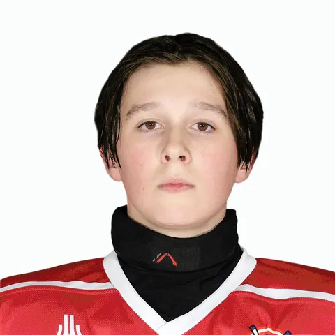 Михаил Сергеев