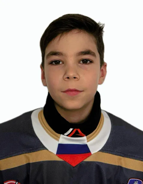 Андрей Огородник