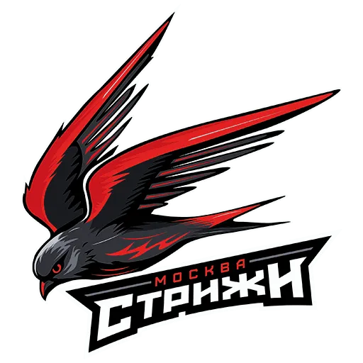 Хоккейный клуб «Стрижи»