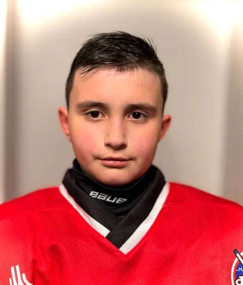 Роман Огнев