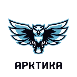 Арктика 2012