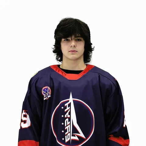 Дмитрий Улыбышев