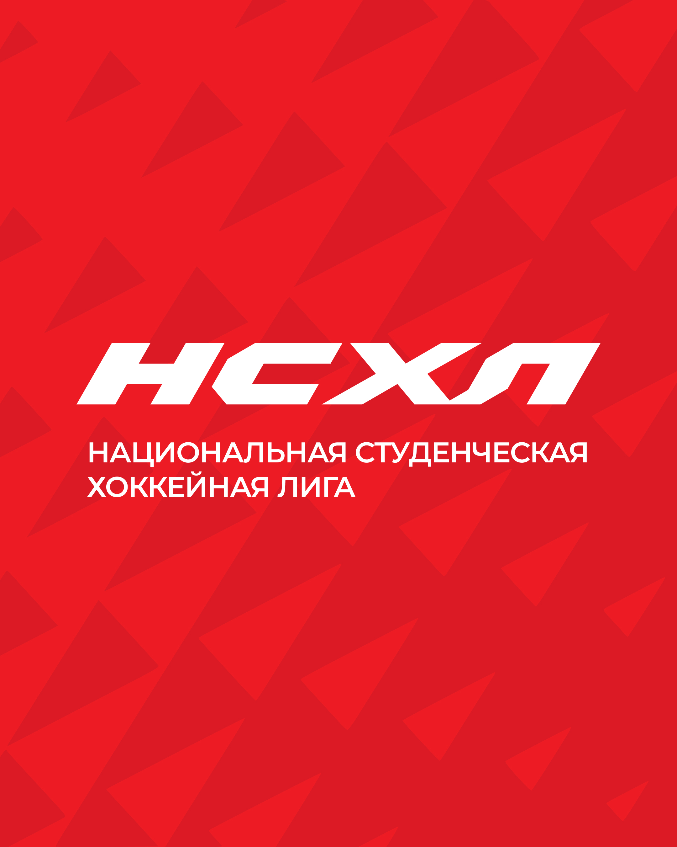 В НСХЛ стартует проект «Профориентация» для хоккеистов-юниоров