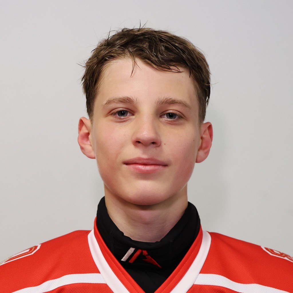 Дмитрий Никонов