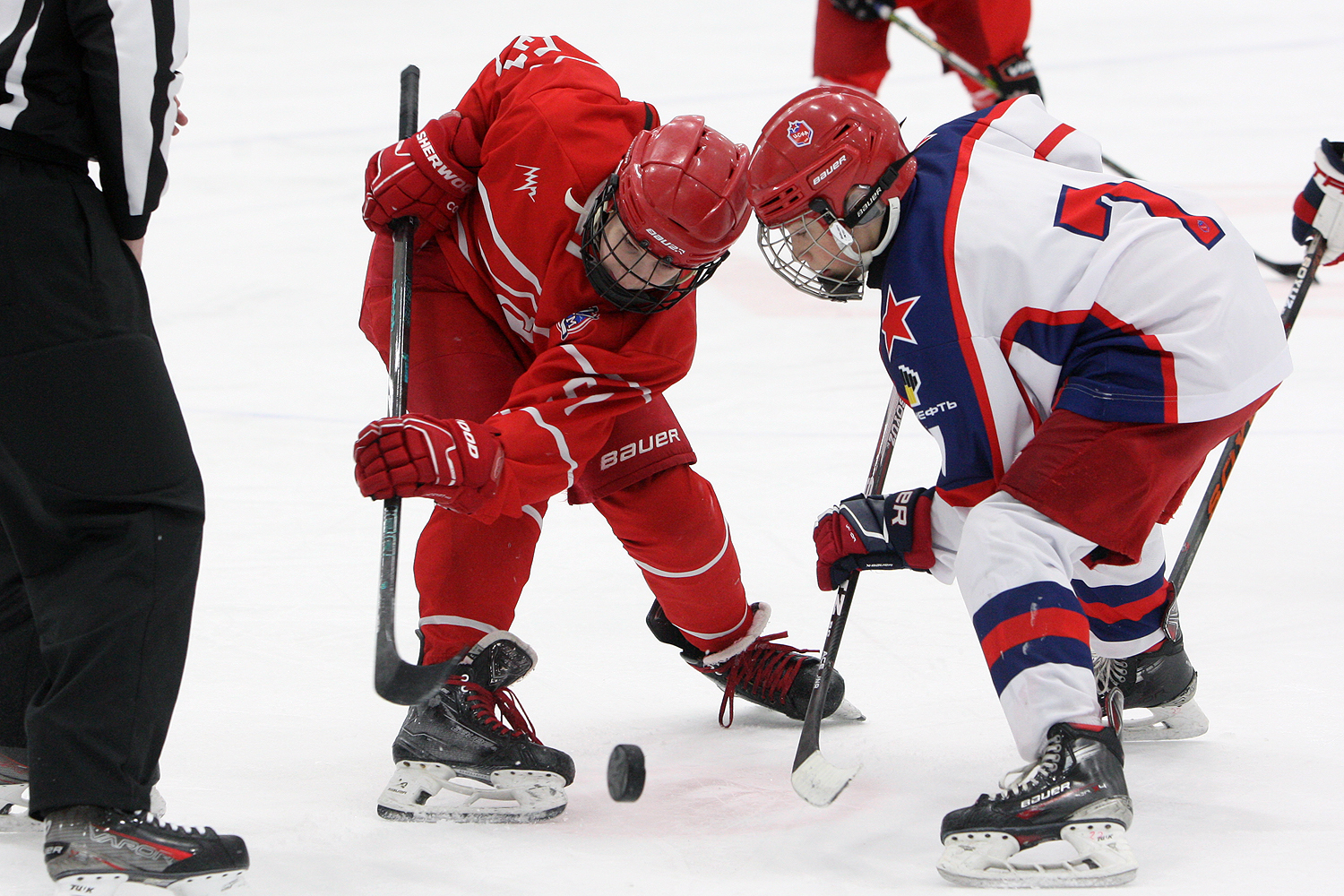 6M4D2439.JPG