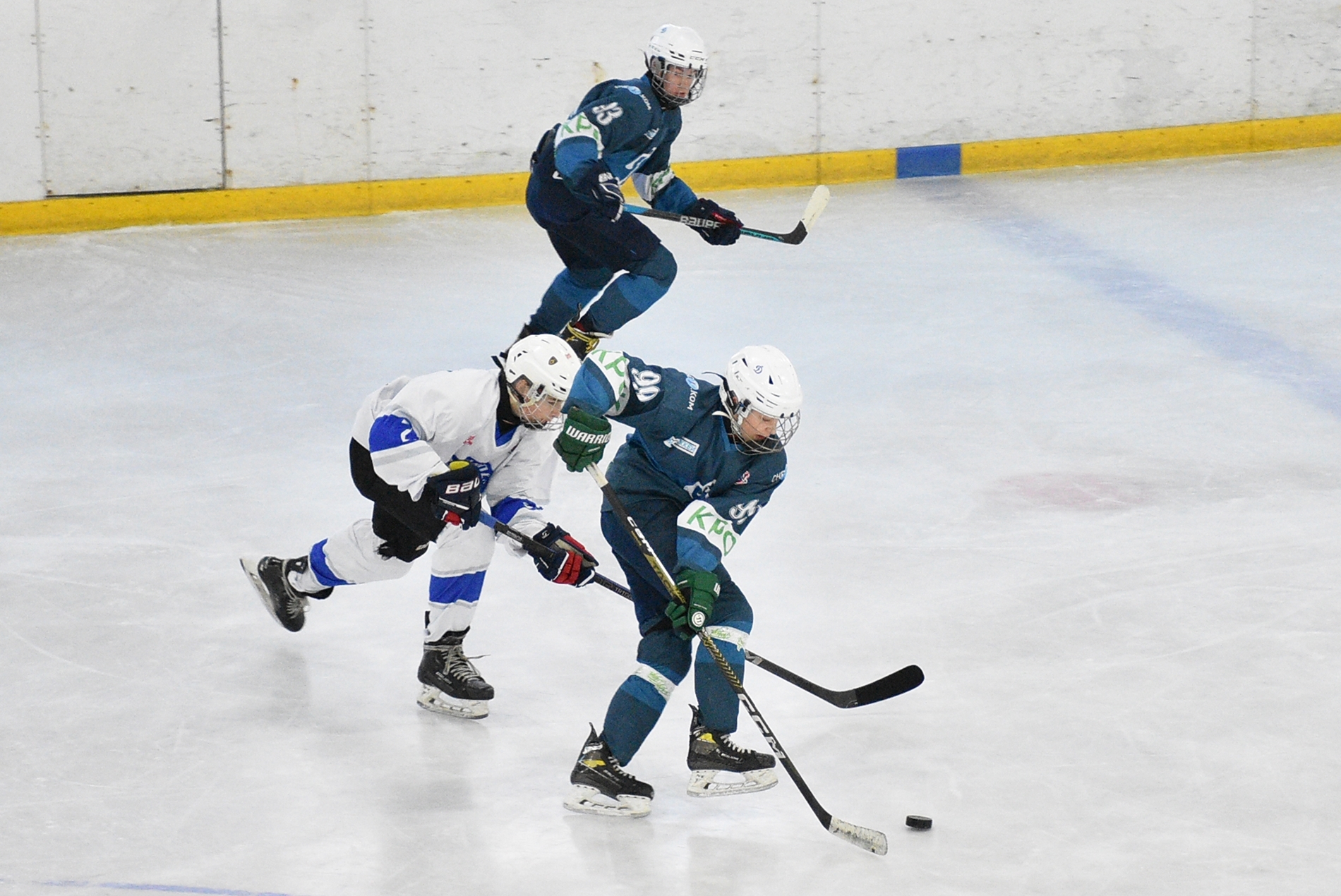 DSC_3458.JPG