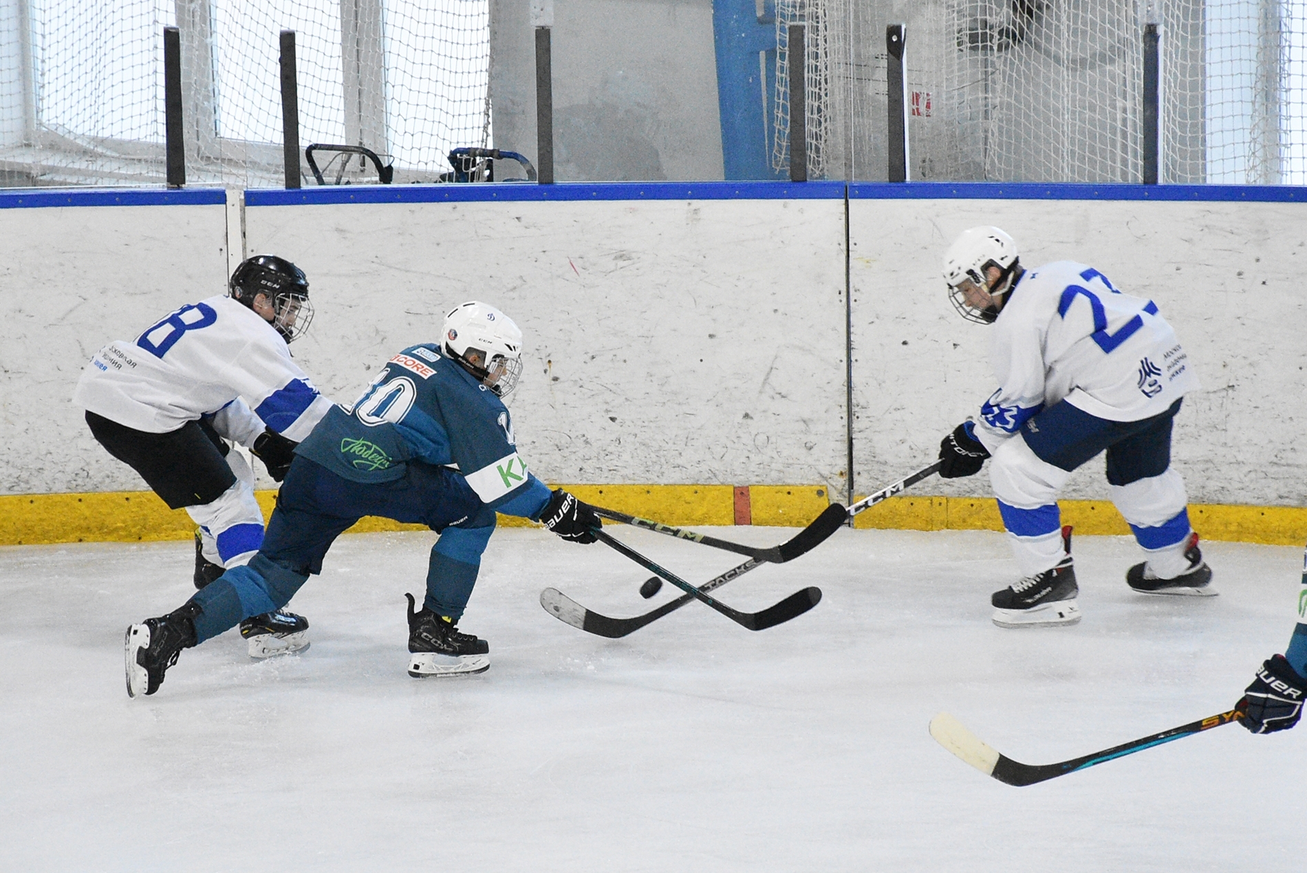 DSC_3664.JPG