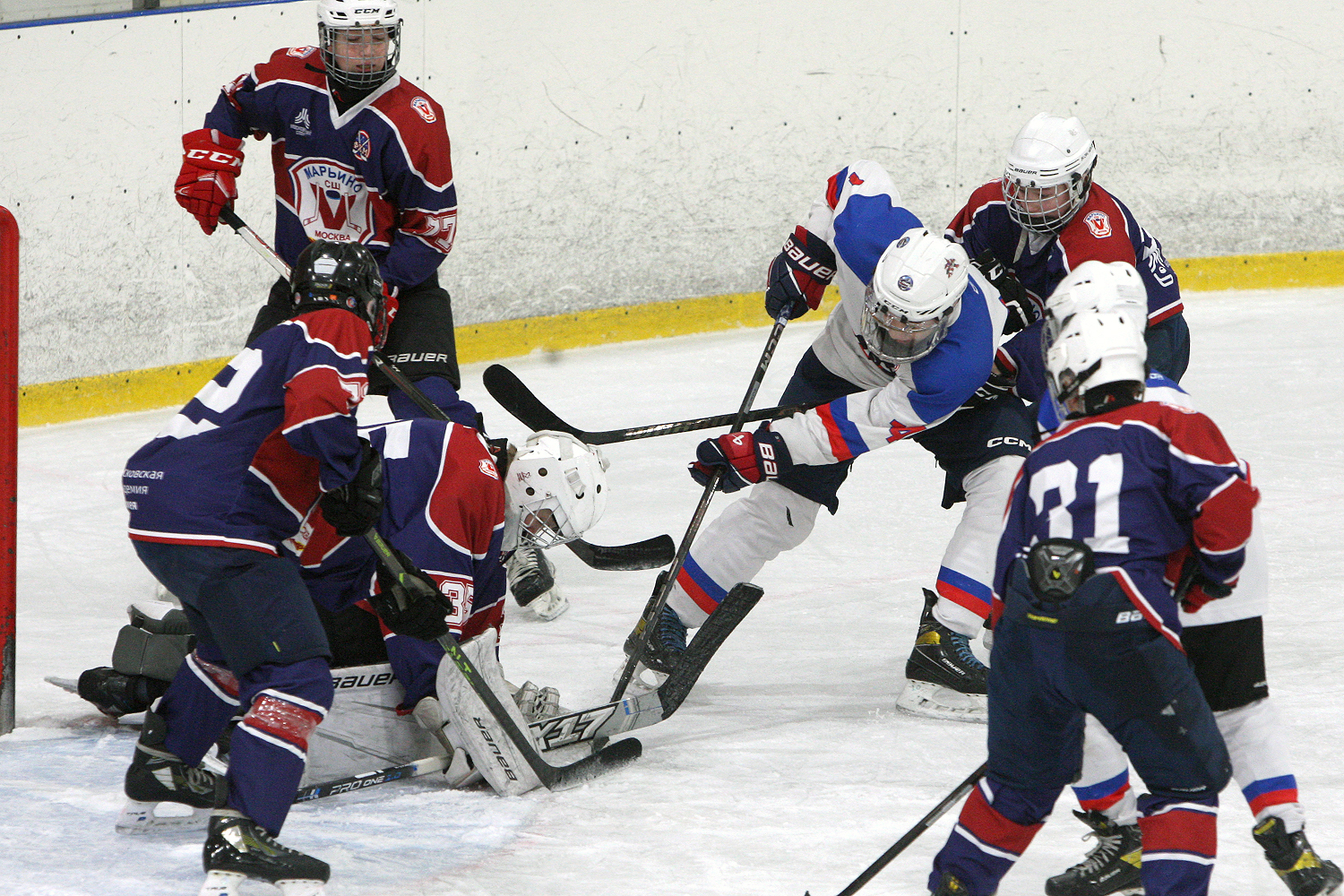 6M4D4431.JPG