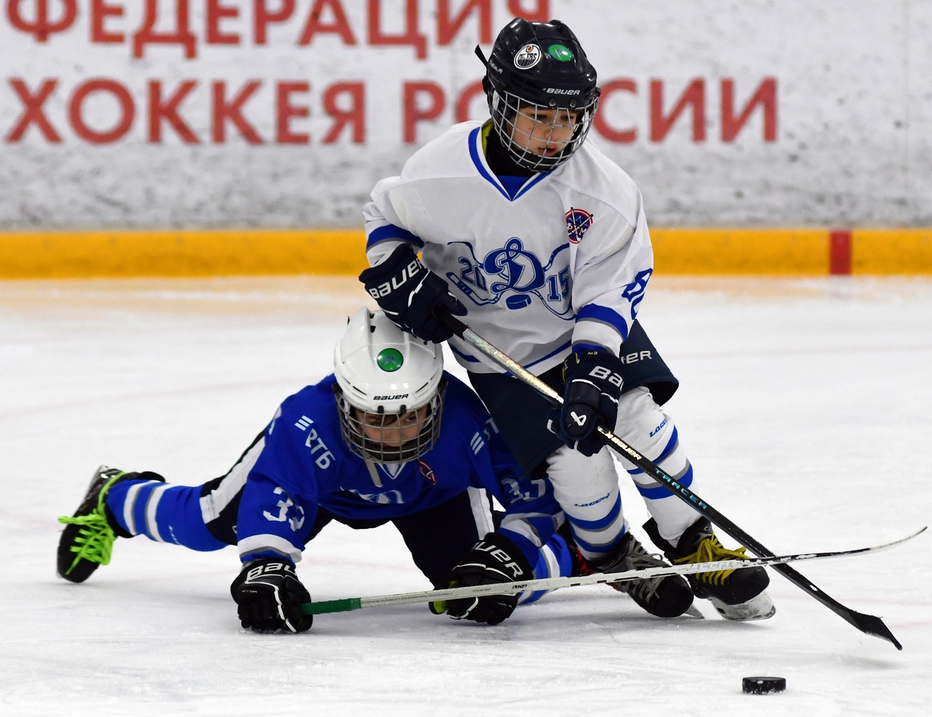 KMN_4101.JPG