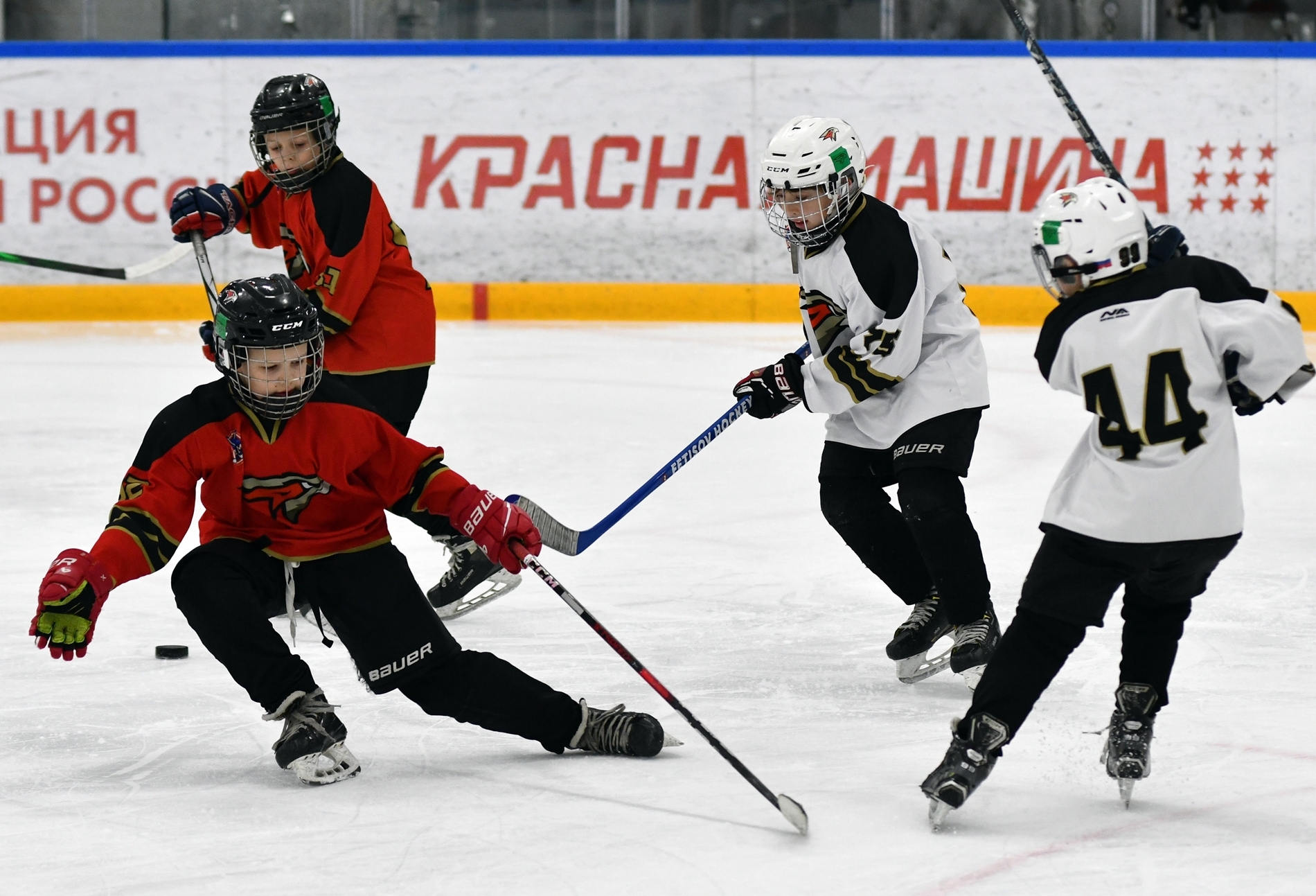KMN_4141.JPG