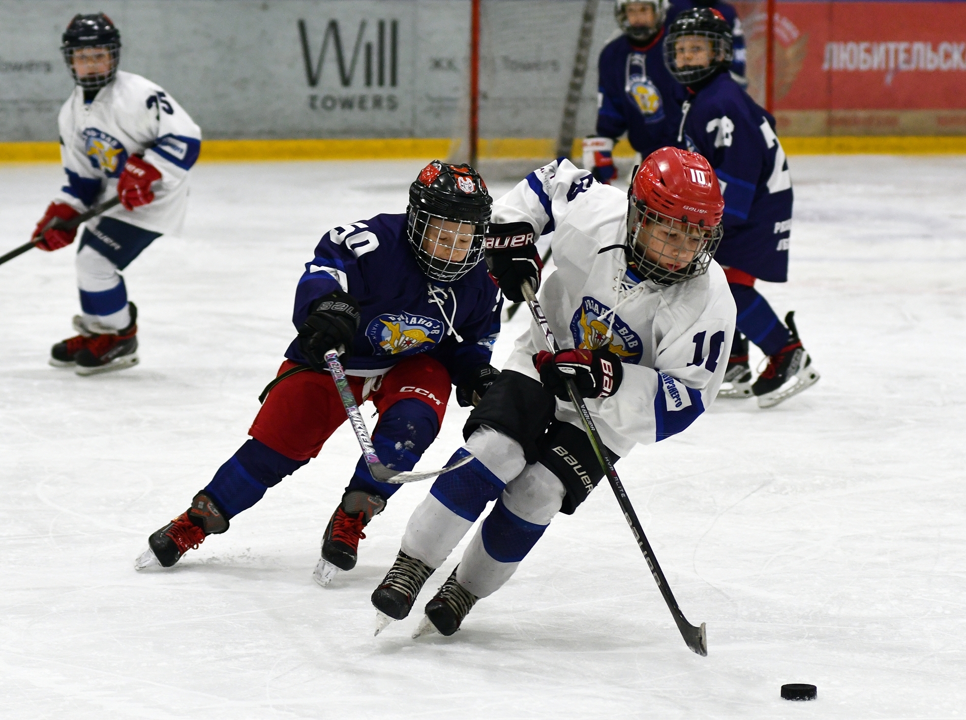 KMN_4364.JPG