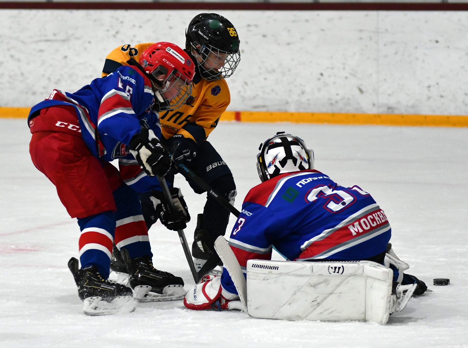 KMN_5372.JPG