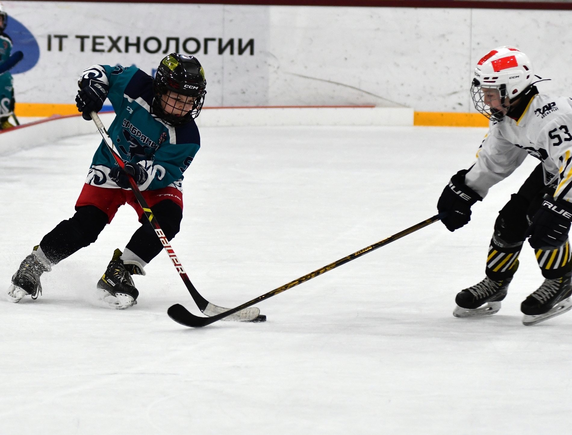 KMN_5535.JPG